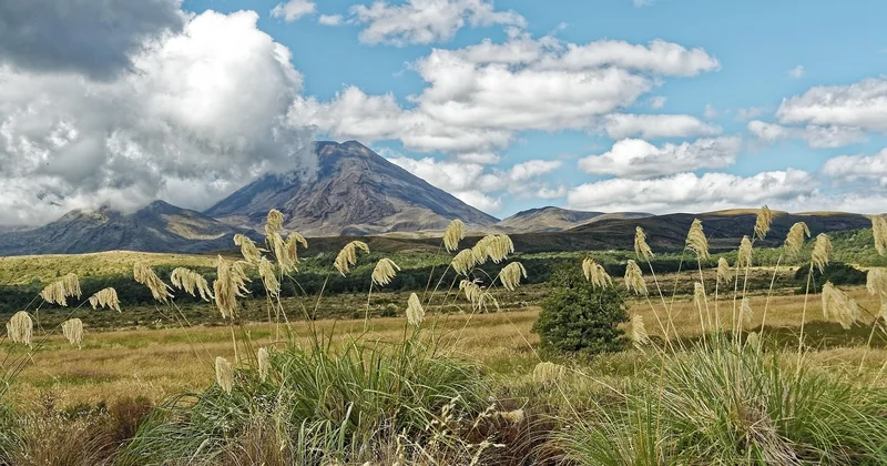 Les paysages de l'île du Nord : volcans, forêts ombragées et plages de sable noir