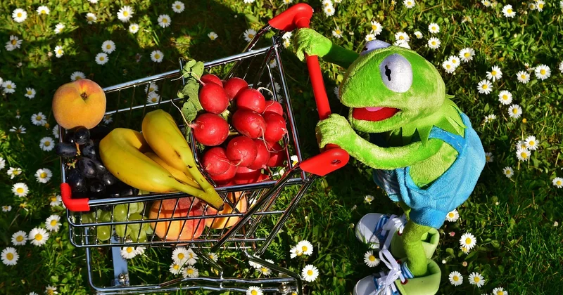 Quels produits locaux chercher autour de Lavalette (et à quoi s'attendre côté prix)