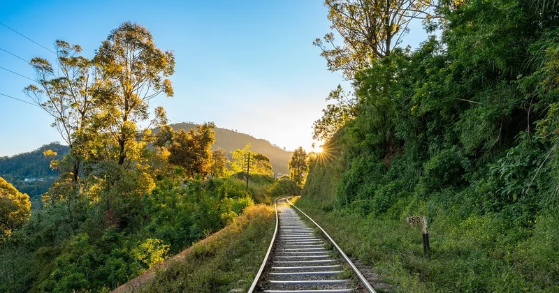 Voiture ou train : la combinaison qui change tout