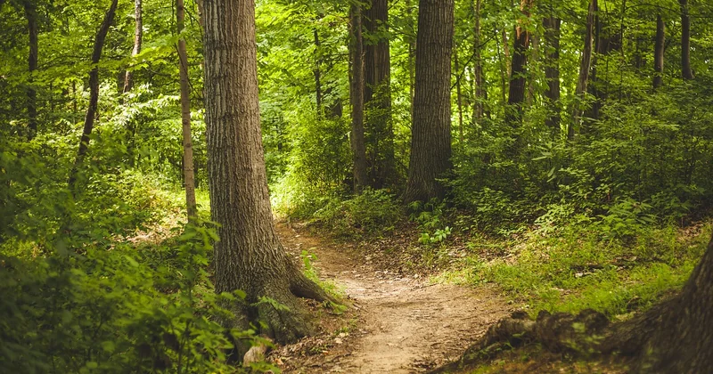 Ce que le terrain donne vraiment, tronçon par tronçon