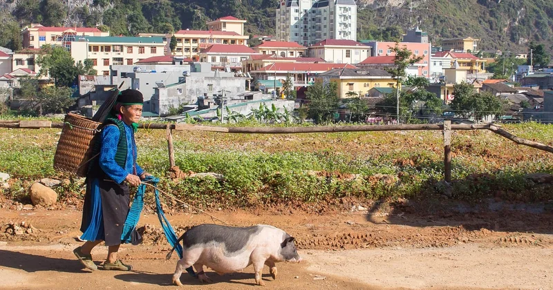 Les marchés ethniques du Nord : la vraie raison de venir au Vietnam
